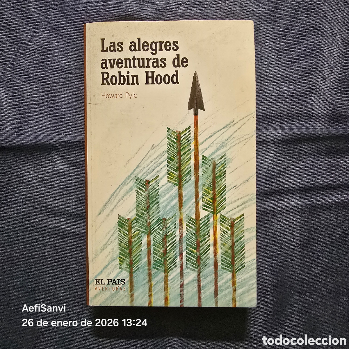 Libros de segunda mano: LAS ALEGRES AVENTURAS DE ROBIN HOOD (HOWARD PYLE) (EL PA&Iacute;S, AVENTURAS) - Foto 1