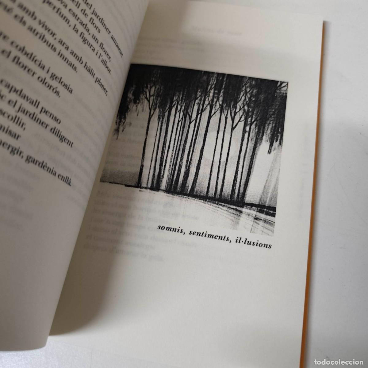 Libros de segunda mano: A LOMBRA DEL CIRERER - JOSEP M. SOLA SALA - Foto 4