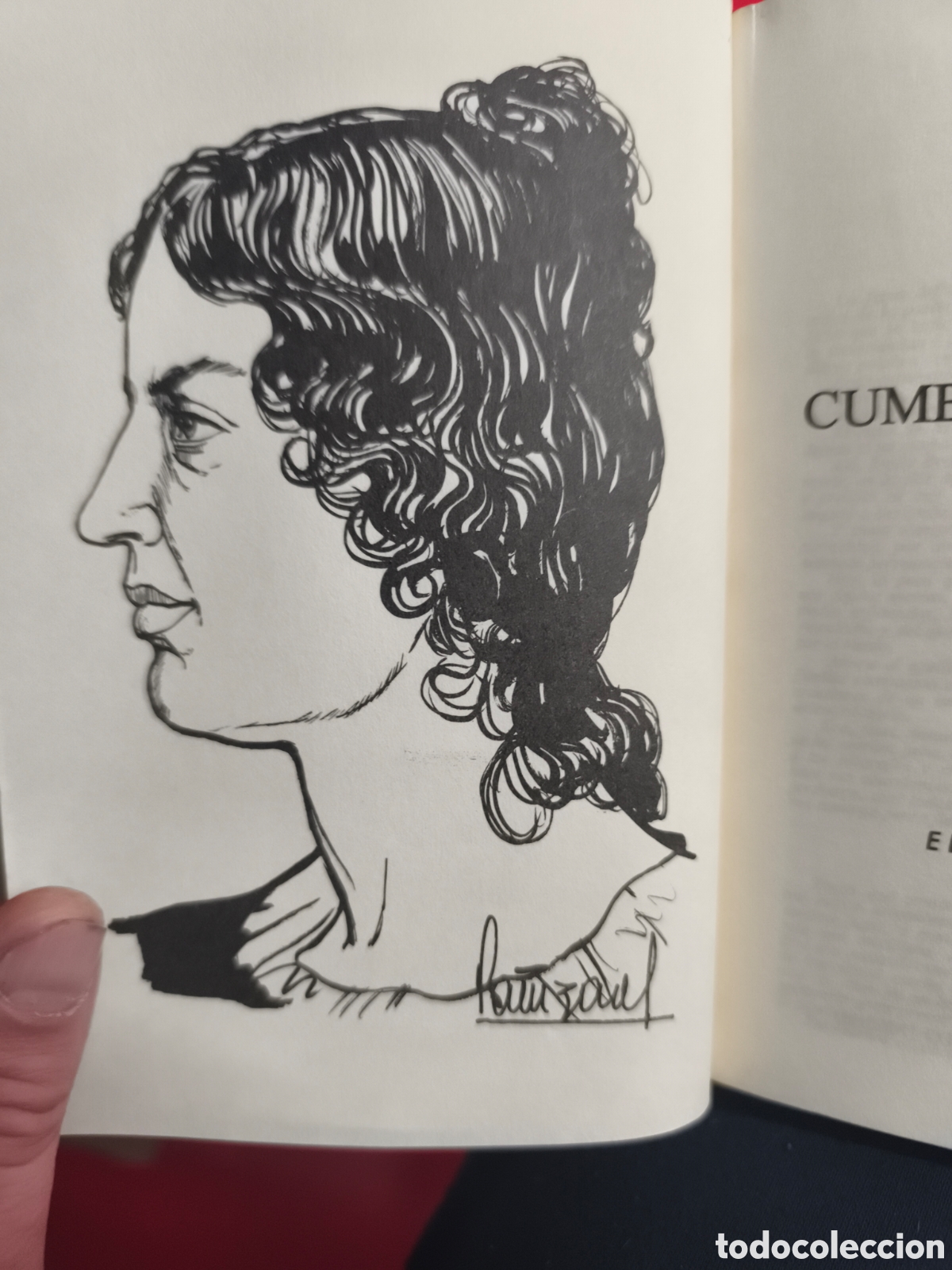 Libros de segunda mano: Cumbres borrascosas Emily Br&ouml;nte - Foto 2