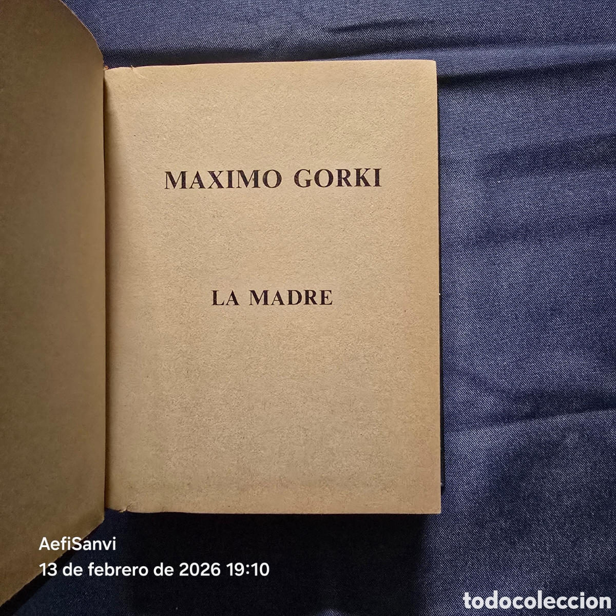 Libros de segunda mano: LA MADRE (MAXIMO GORKI) - Foto 3