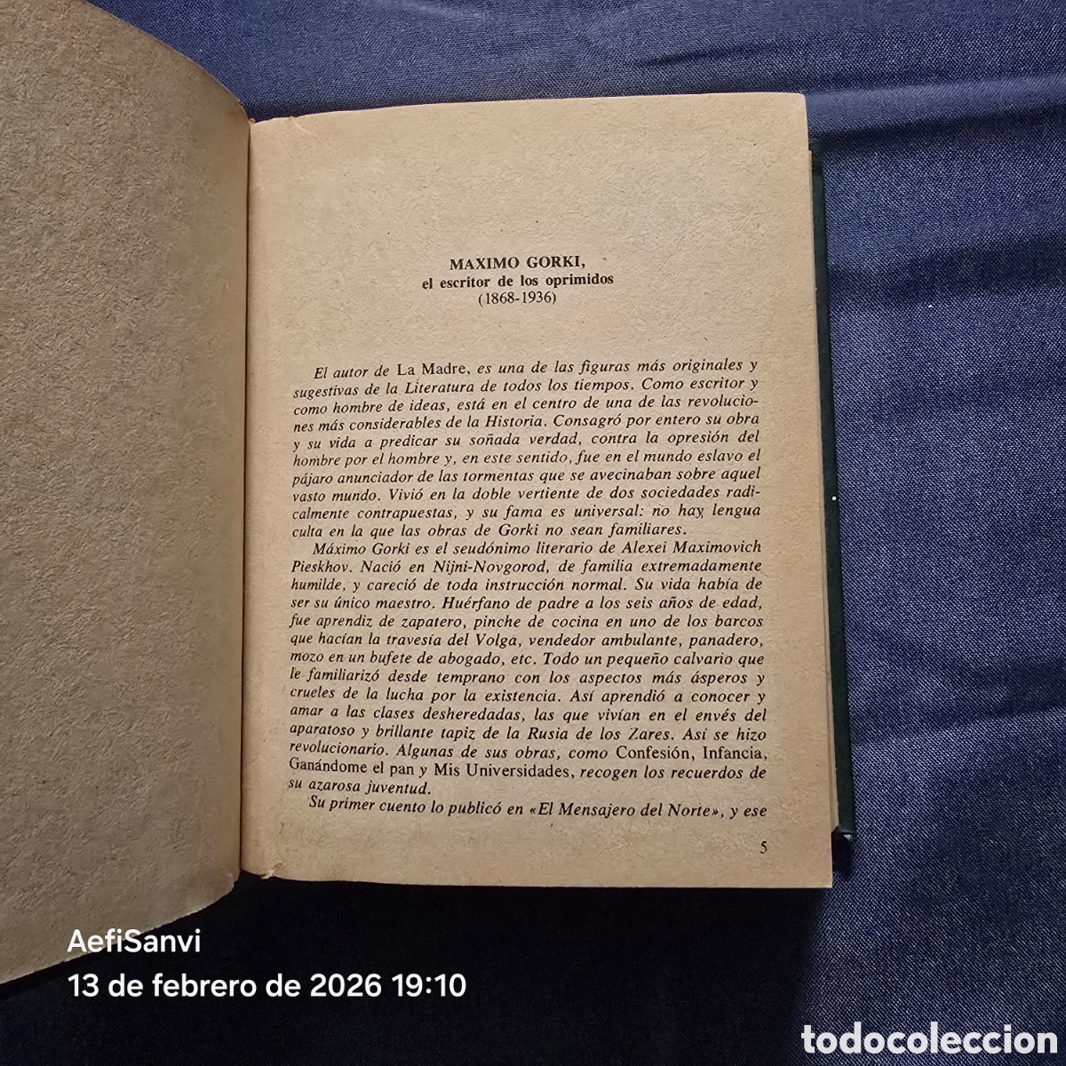 Libros de segunda mano: LA MADRE (MAXIMO GORKI) - Foto 4