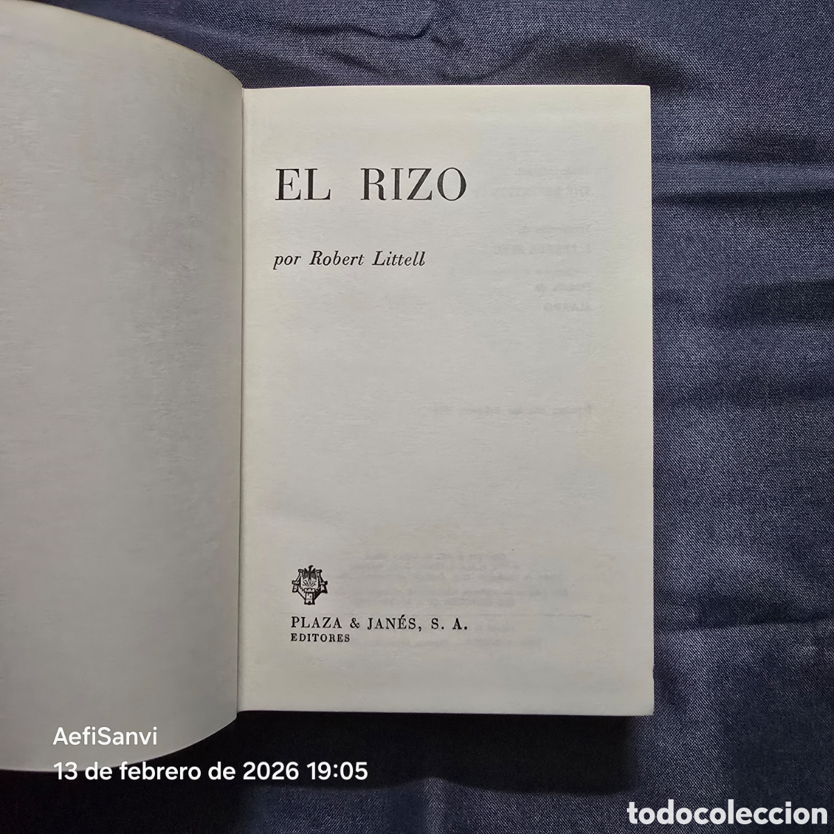 Libros de segunda mano: EL RIZO (ROBERT LITTELL) (PLAZA & JANES) - Foto 2