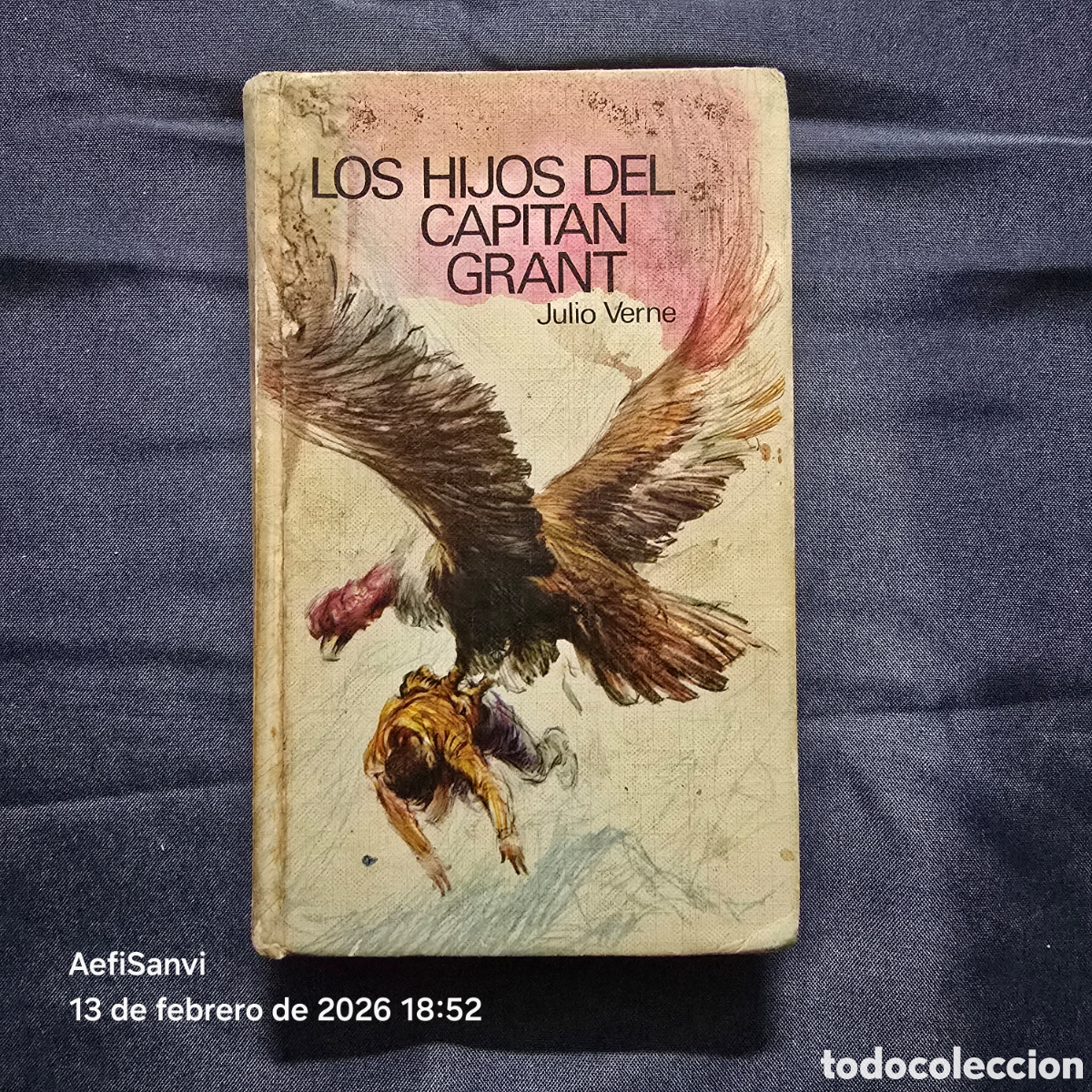Libros de segunda mano: LOS HIJOS DEL CAPITAN GRANT (JULIO VERNE) (C&Iacute;RCULO DE LECTORES) - Foto 1