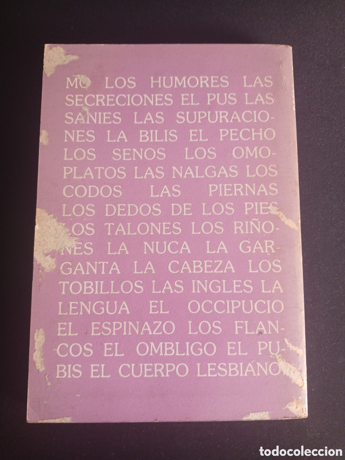 Libros de segunda mano: Monique Wittig. El cuerpo lesbiano. - Foto 2