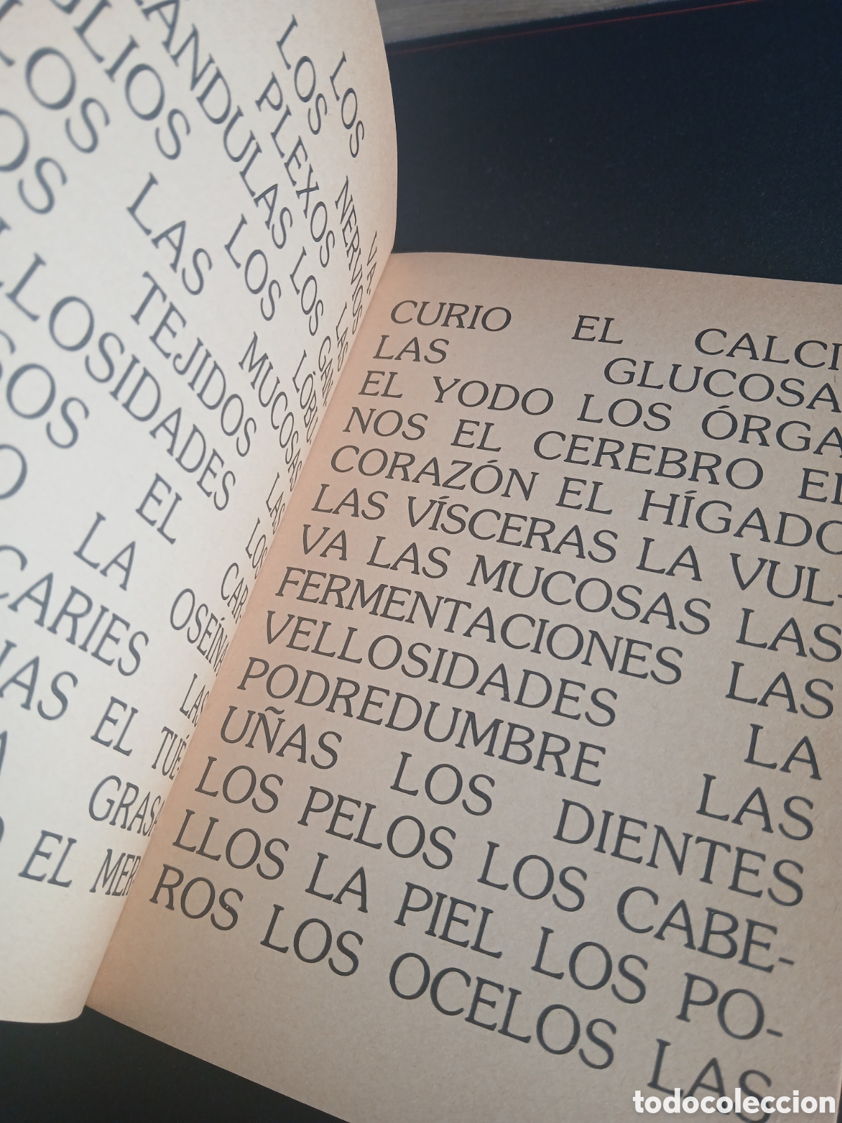 Libros de segunda mano: Monique Wittig. El cuerpo lesbiano. - Foto 5