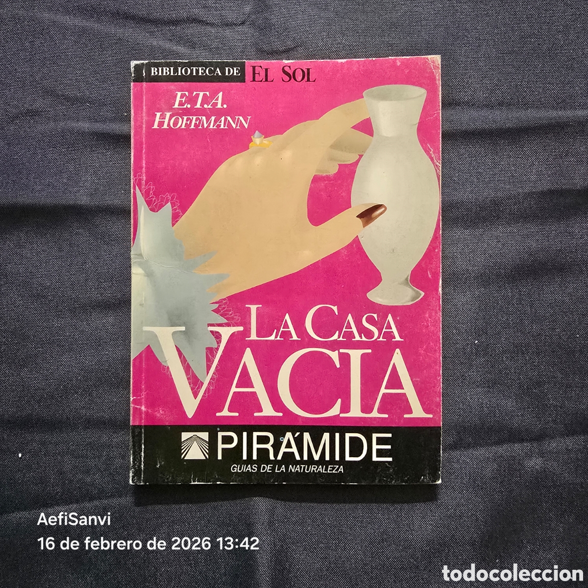 Libros de segunda mano: LA CASA VAC&Iacute;A (E.T.A. HOFFMANN) (EL SOL) - Foto 1