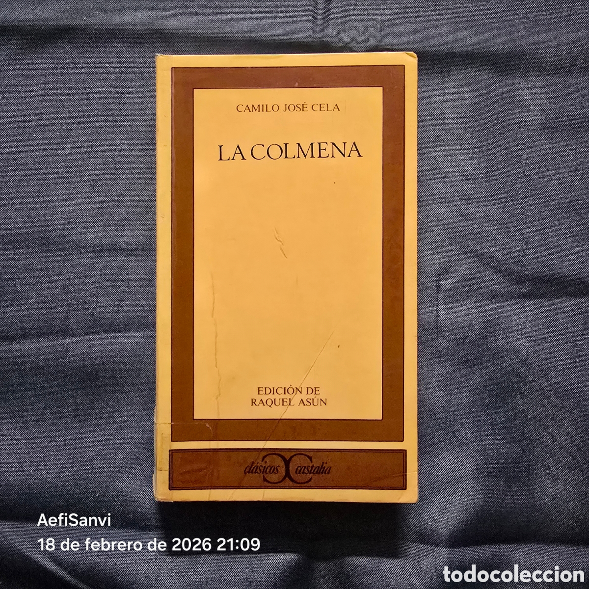 Libros de segunda mano: LA COLMENA (CAMILO JOS&Eacute; CELA) (CASTALIA) - Foto 1