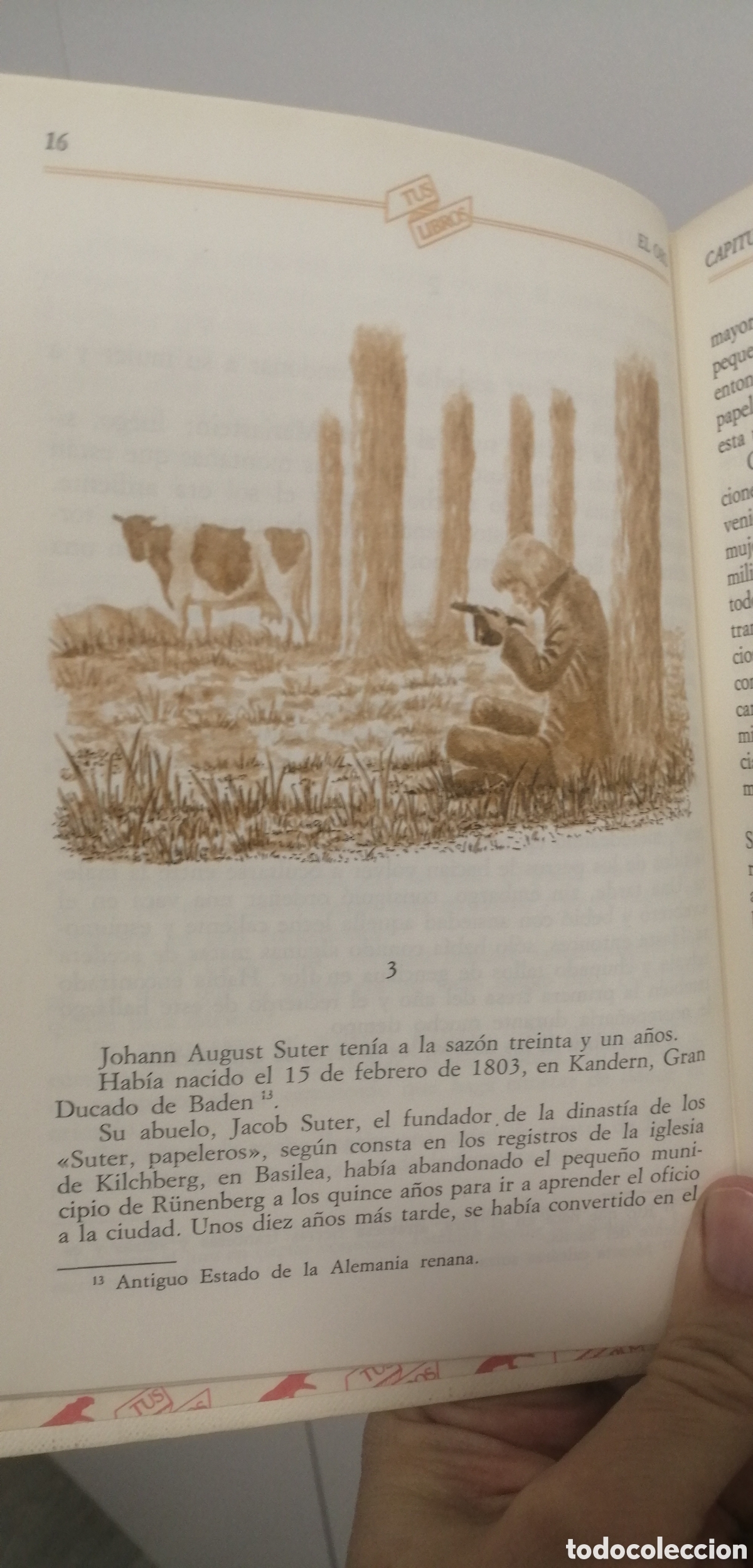 Libros de segunda mano: El oro Blaise Cendrars Tus Libros Anaya N&uacute;mero 74 - Foto 11