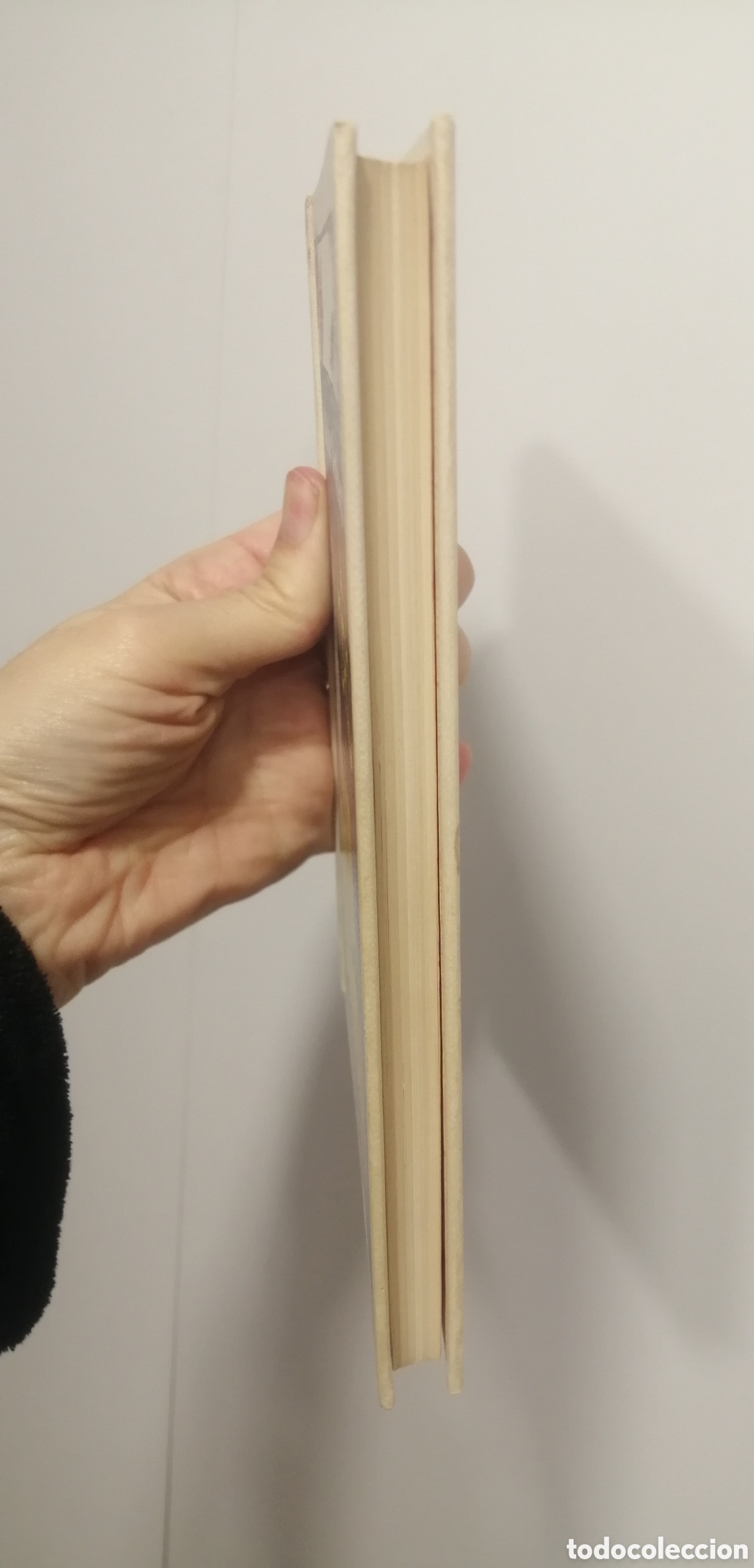 Libros de segunda mano: El oro Blaise Cendrars Tus Libros Anaya N&uacute;mero 74 - Foto 17