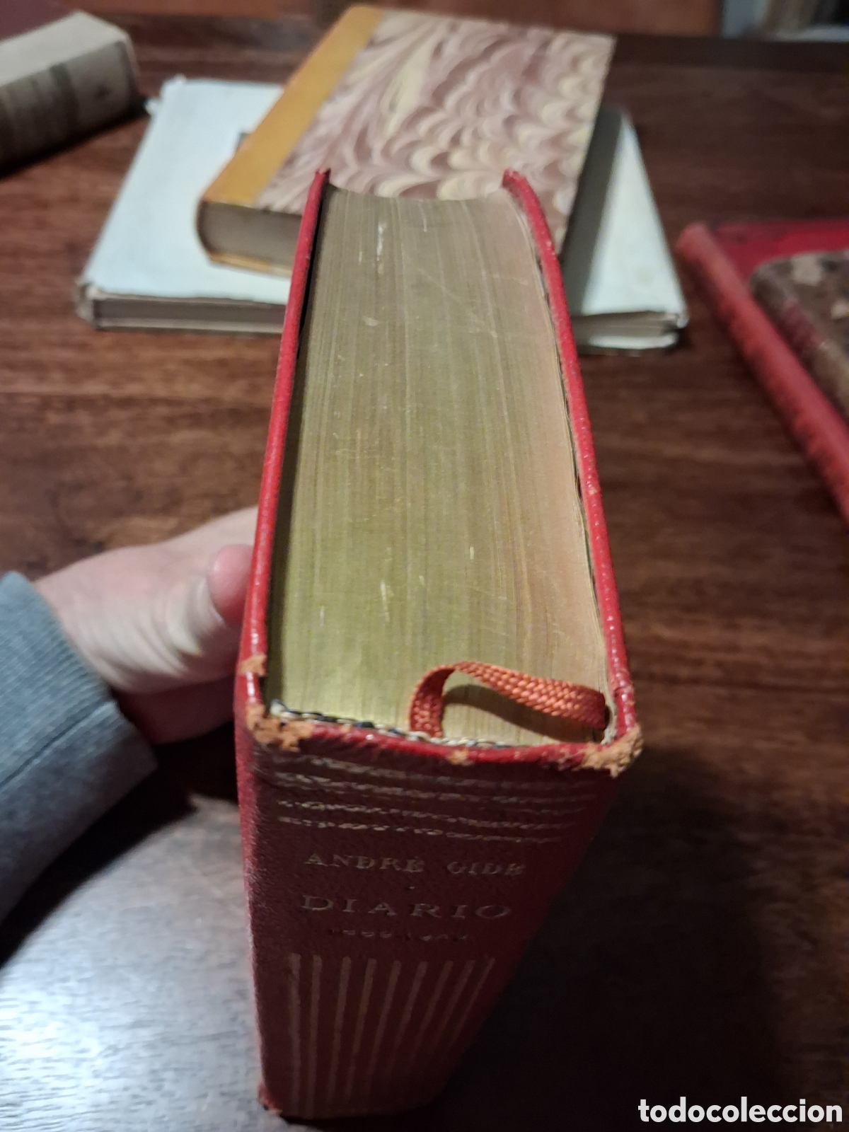 Libros de segunda mano: Diarios, Andr&eacute; Gide (primera edici&oacute;n en espa&ntilde;ol) - Foto 2