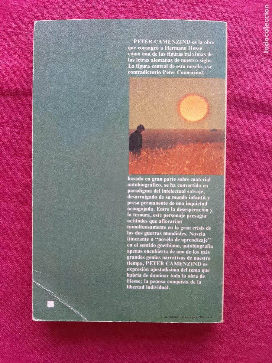 Libros de segunda mano: Peter Camenzind - Hesse, Hermann - Foto 2