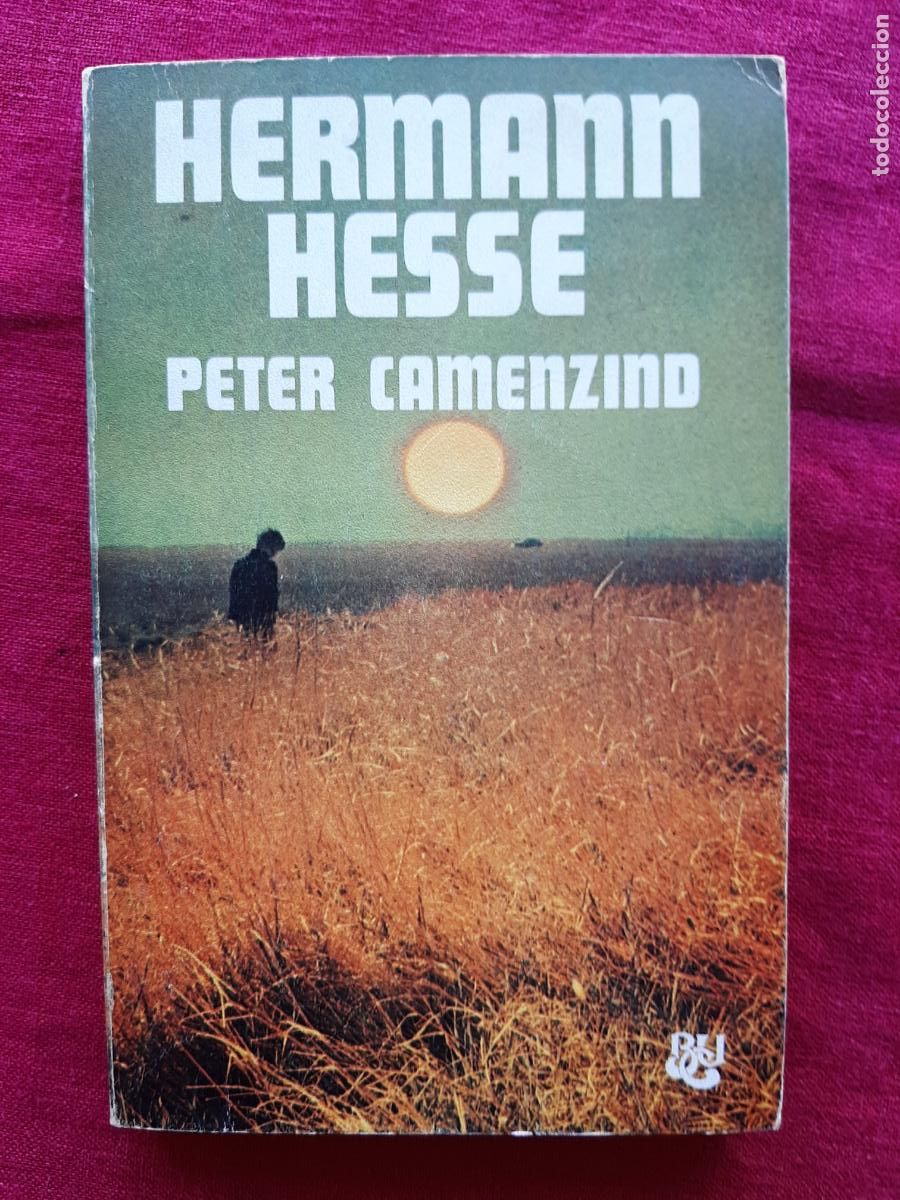 Libros de segunda mano: Peter Camenzind - Hesse, Hermann - Foto 1