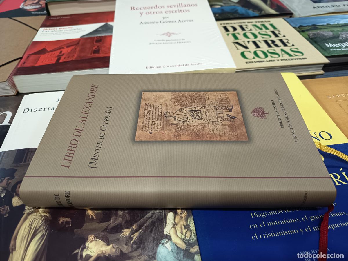 Libros de segunda mano: 2014 - Libro de Alexandre (Mester de Clerec&iacute;a) - BIBLIOTECA CASTRO - Foto 2