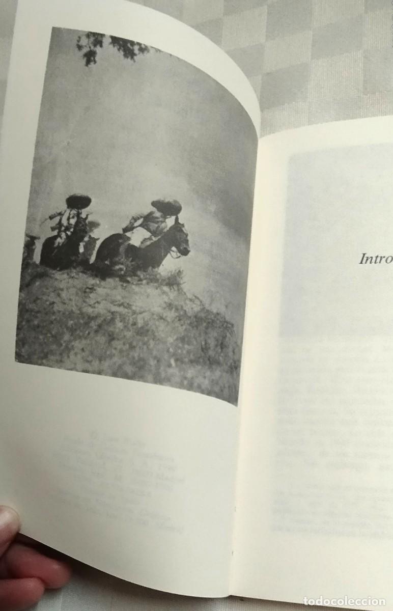 Libros de segunda mano: Novela: Pedro P&aacute;ramo de Juan Rulfo, C&aacute;tedra 1990 - Foto 6