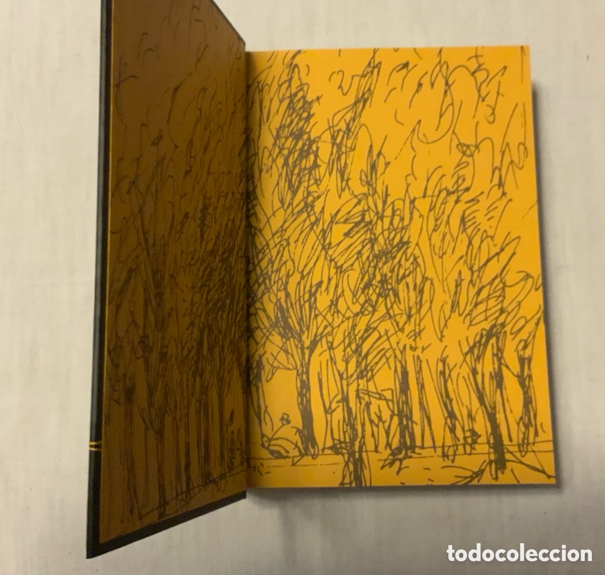 Libros de segunda mano: Don Quijote de la Mancha. Cervantes - Foto 3