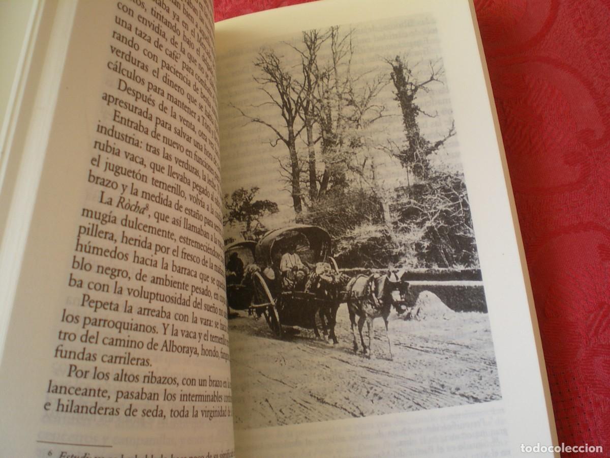 Libros de segunda mano: LA BARRACA. VICENTE BLASCO IB&Aacute;&Ntilde;EZ. C&Aacute;TEDRA LETRAS HISP&Aacute;NICAS. - Foto 3