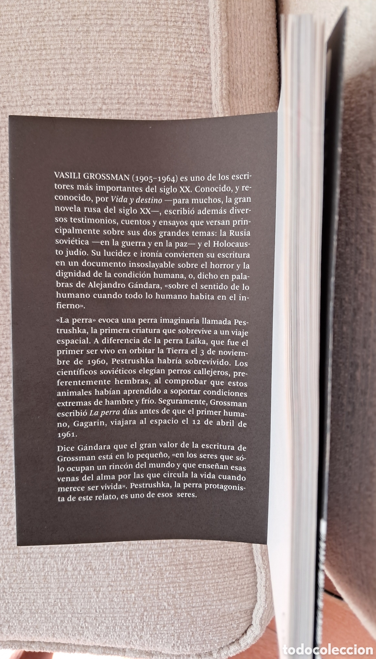 Libros de segunda mano: La Perra-Vasili Grossman - Foto 2
