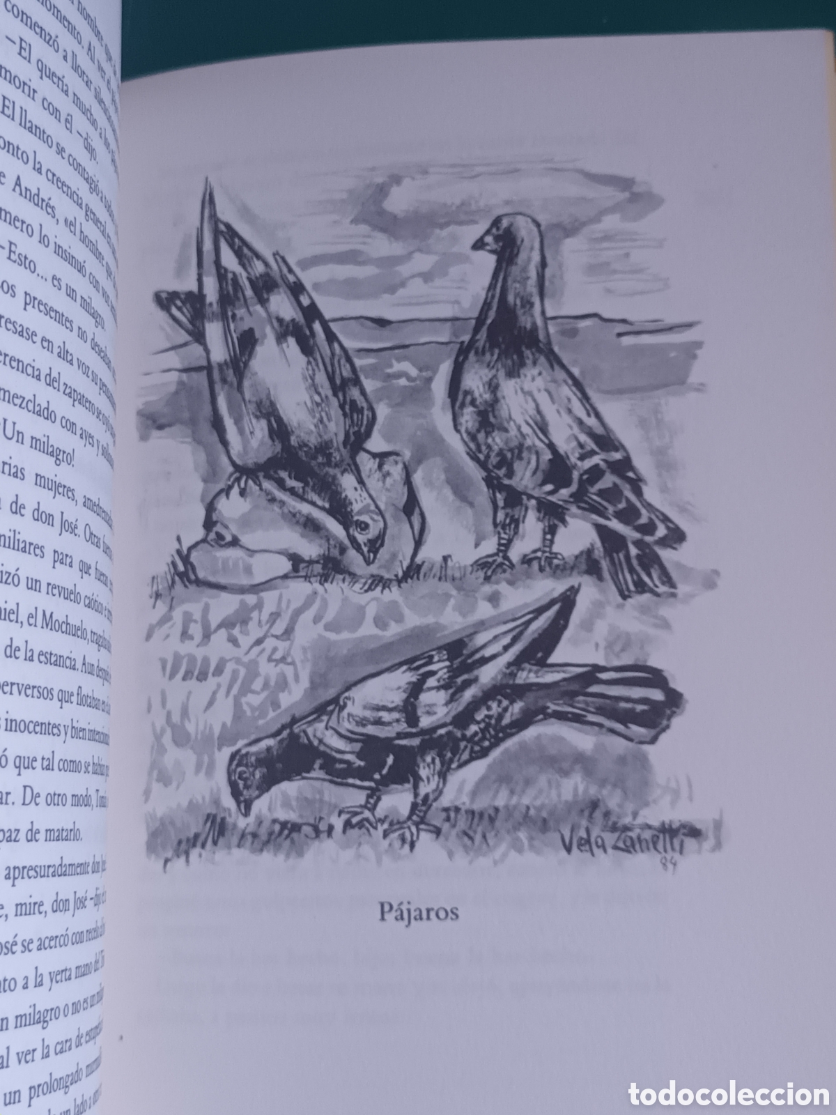 Libros de segunda mano: Miguel Delives - El camino. C&iacute;rculo de lectores 1985 - Foto 4