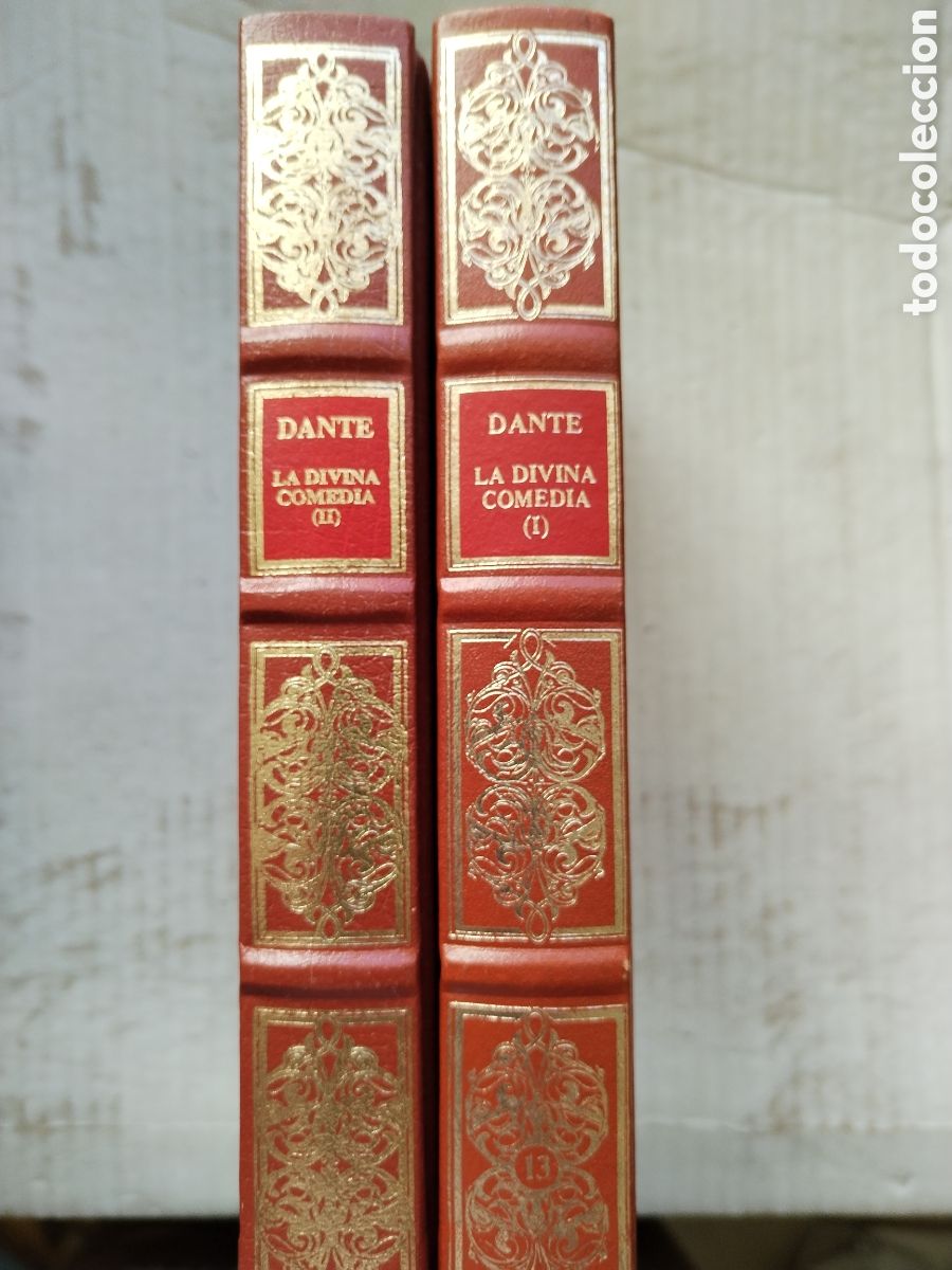 Libros de segunda mano: LA DIVINA COMEDIA/DANTE