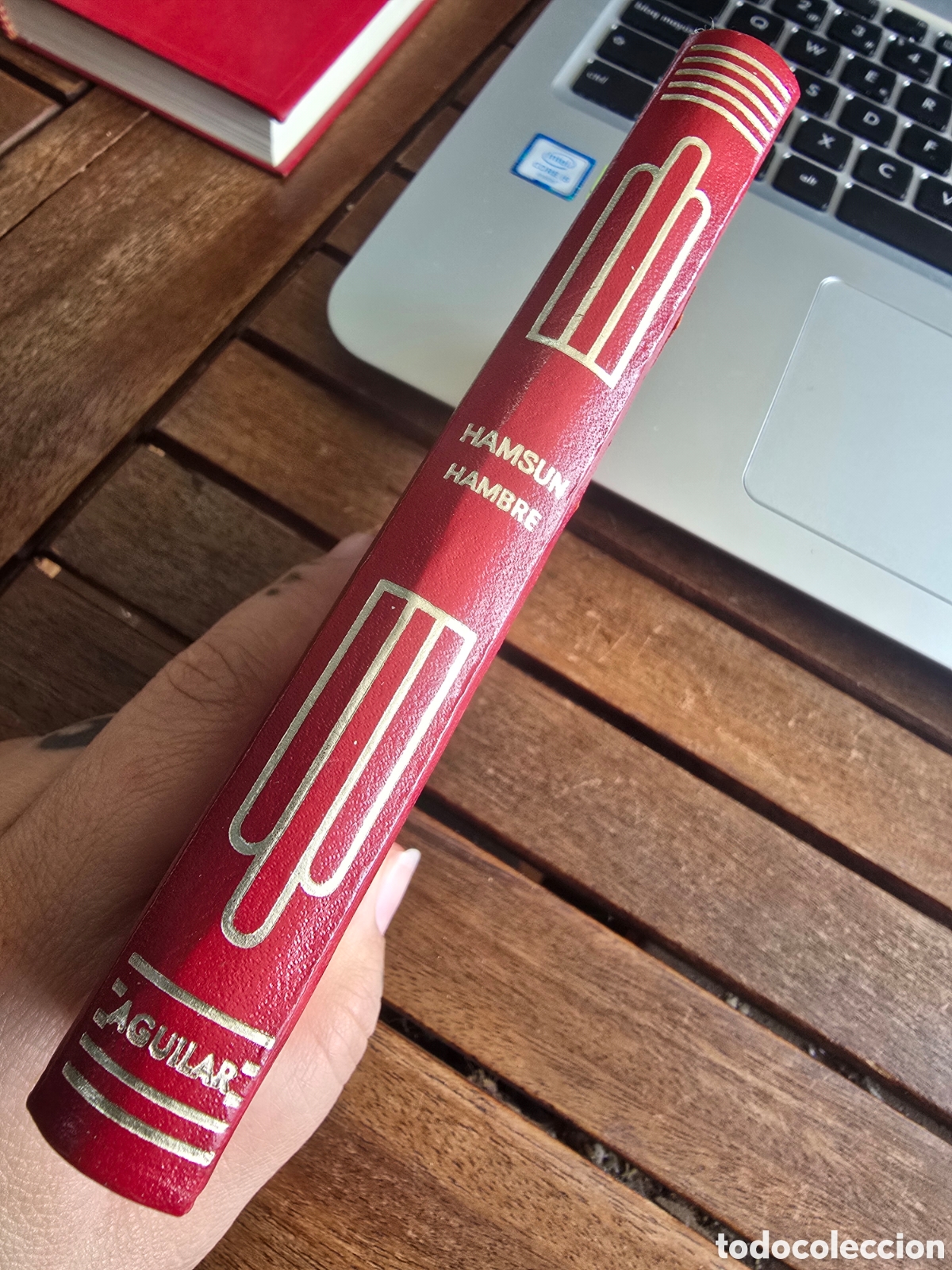 Libros de segunda mano: HAMBRE Knut Hamsun COLECCION CRISOL AGUILAR 1970 edicion mexicana Premio Nobel 1920