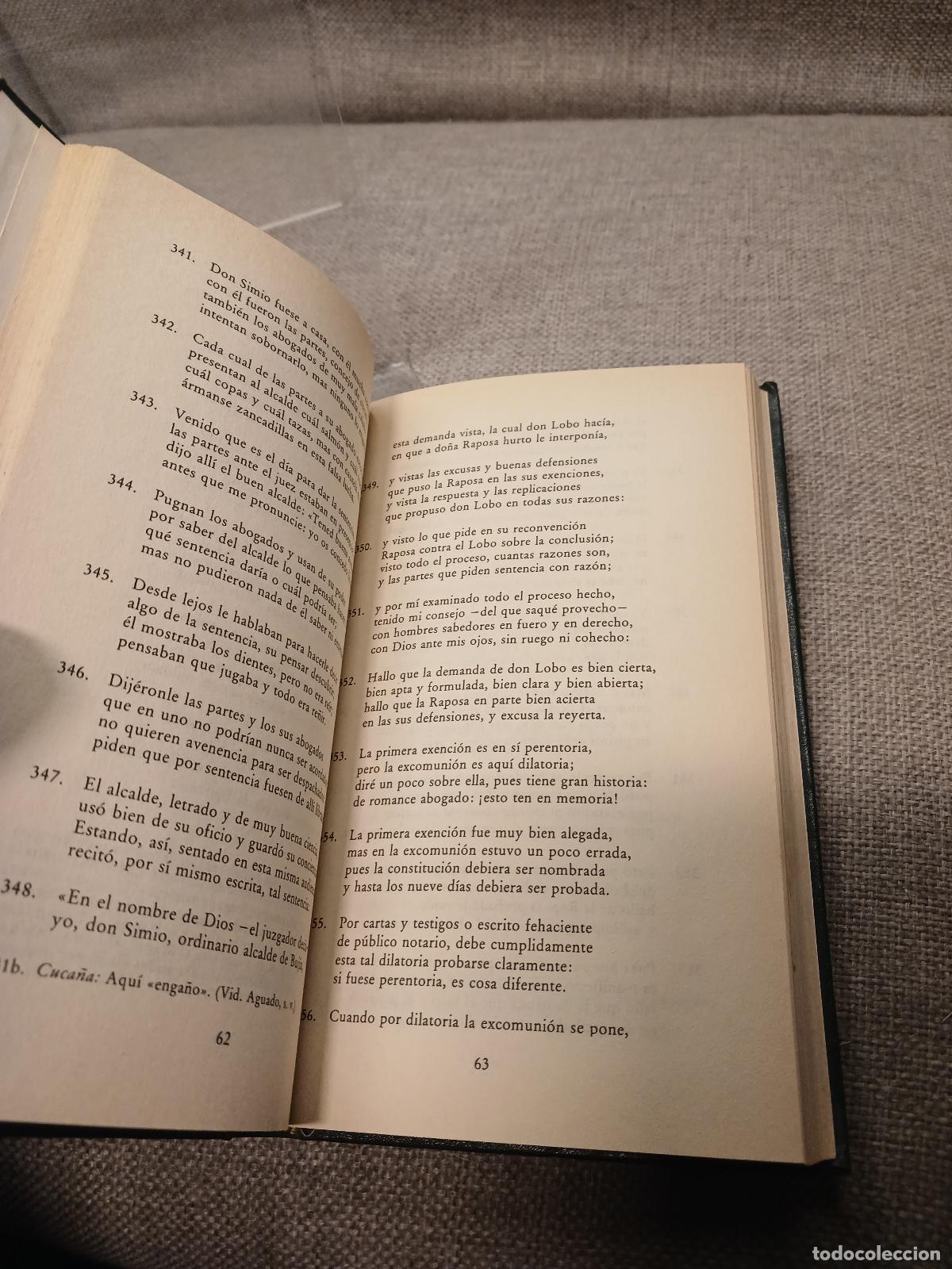 Libros de segunda mano: Libro de buen amor - Juan Ruiz - Foto 3