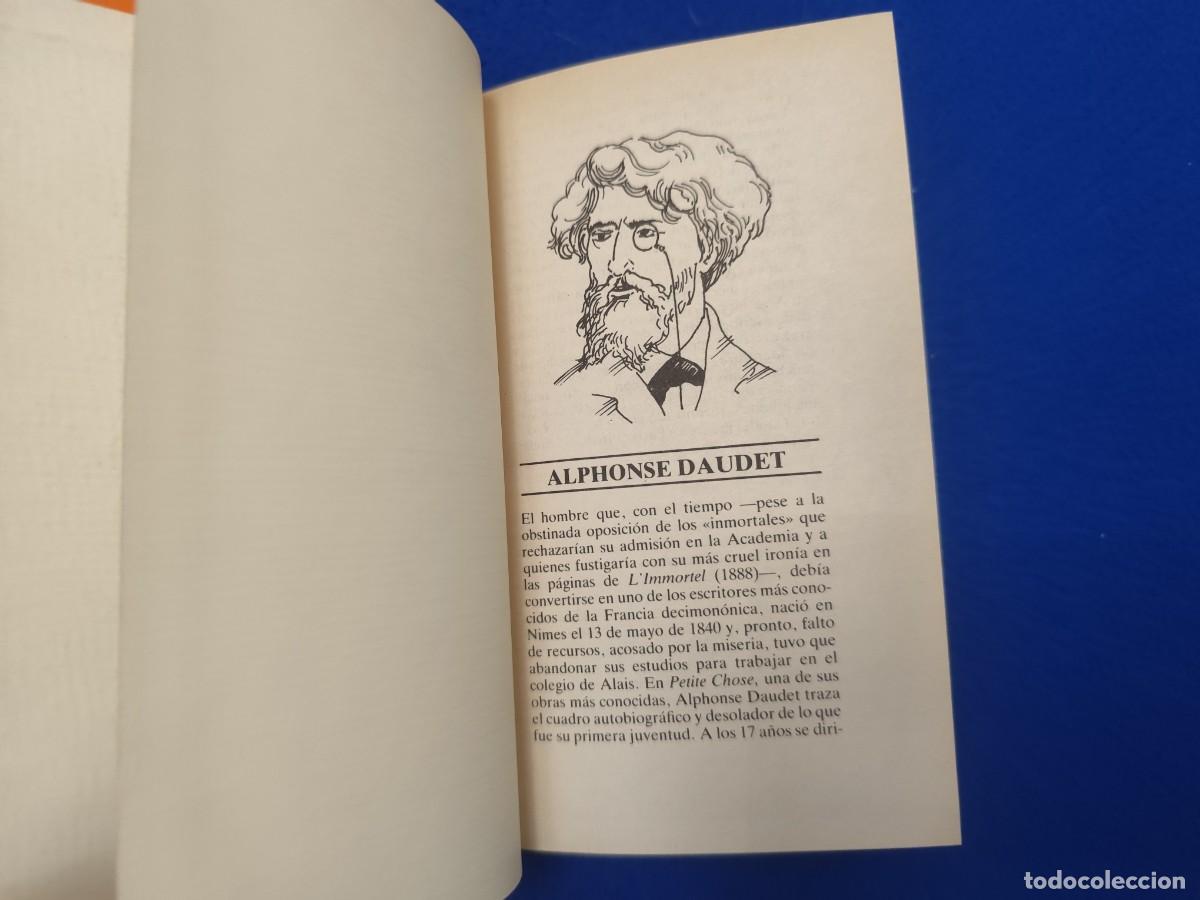 Libros de segunda mano: Cuentos del Lunes Alphonse Daudet Ed. Bruguera 1981 - Foto 5