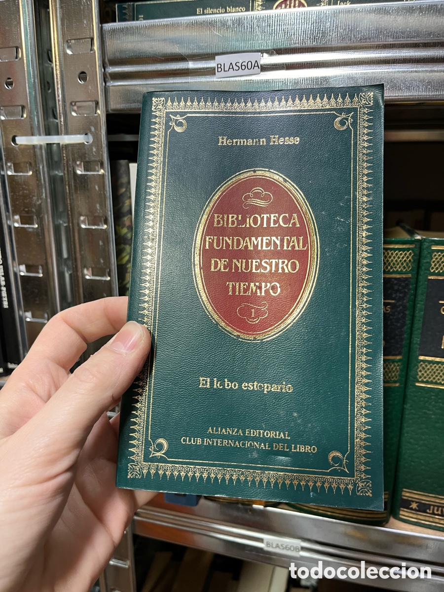 Libros de segunda mano: BLAS60A Hermann Hesse B. FUNDAMENTAL DE NUESTRO TEMPO El lobo estepario