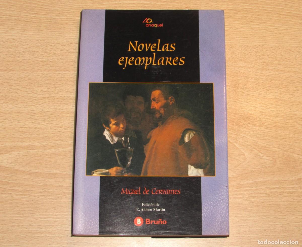 Libros de segunda mano: Novelas ejemplares Miguel de Cervantes edici&oacute;n de Eugenio Alonso Mart&iacute;n Bru&ntilde;o 1999