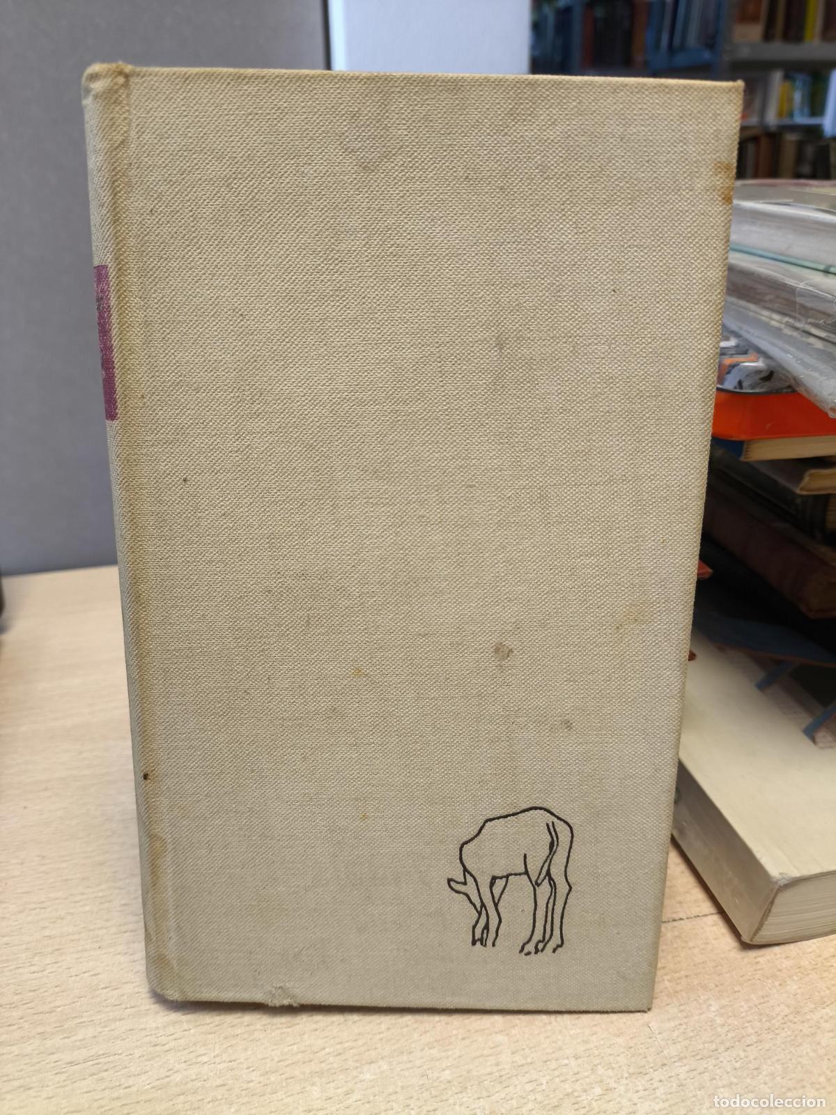 Libros de segunda mano: PLATERO Y YO. (Eleg&iacute;a Andaluza) 1907-1916 - Jim&eacute;nez, Juan Ram&oacute;n