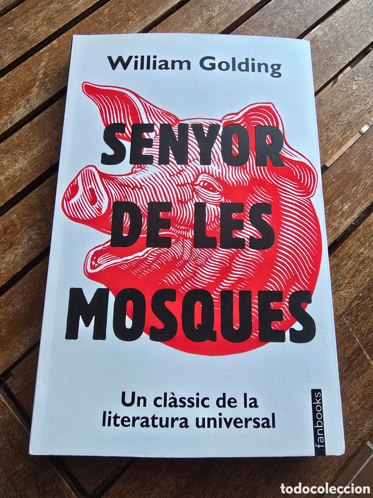 Livros em segunda m&atilde;o: Senyor de les mosques Golding, William Editorial FANBOOKS 2026 (en catalan) clasicos