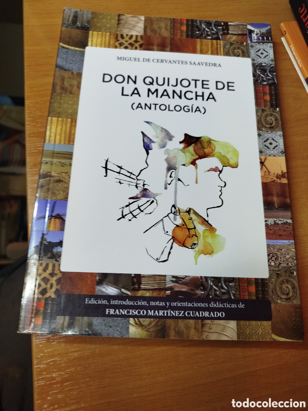 Libros de segunda mano: Don Quijote de la Mancha antolog&iacute;a. Francisco Mart&iacute;nez cuadrado.