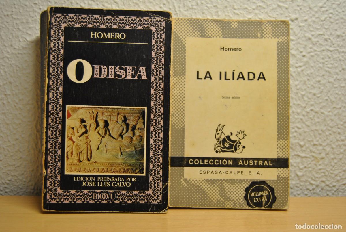 Libros de segunda mano: Lote Il&iacute;ada+Odisea. Homero. 1976. 1973. Austral. Editorial Nacional.