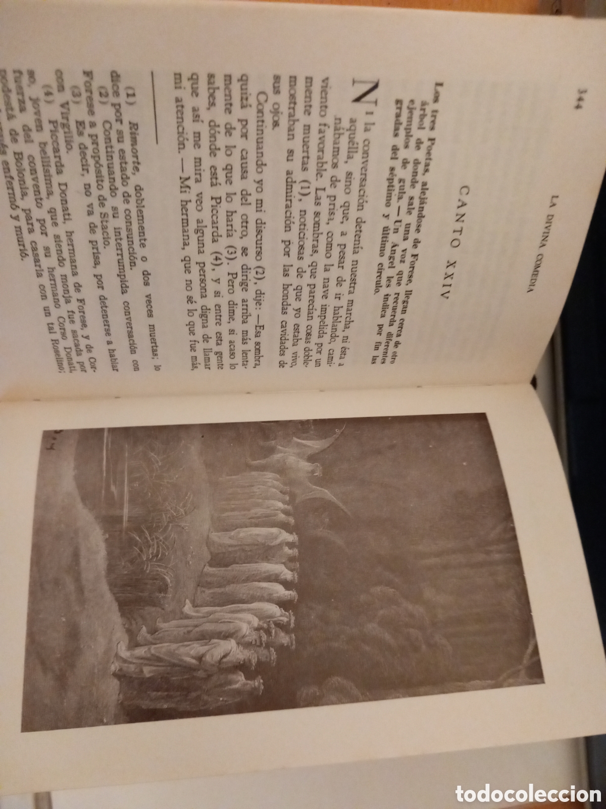Libros de segunda mano: La Divina Comedia. Dante Alighieri - Foto 3
