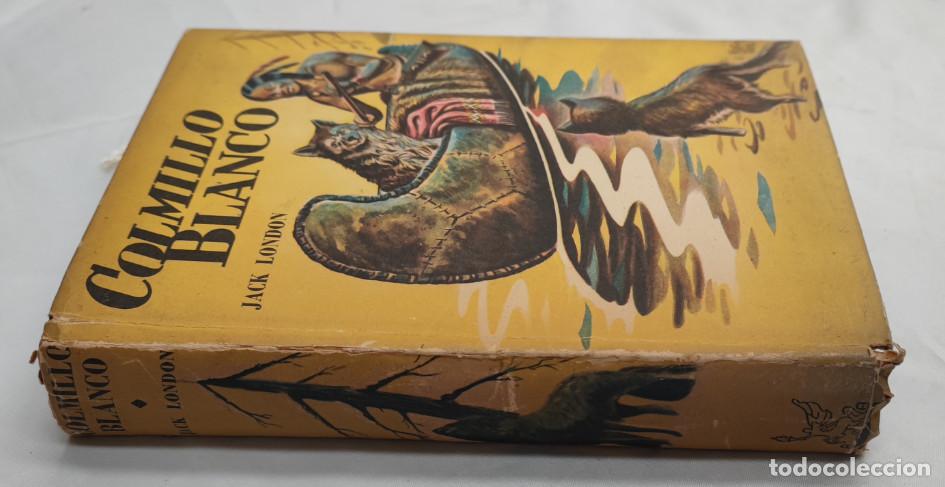Libros de segunda mano: COLMILLO BLANCO, JACK LONDON, ACME AGENCY 1951, LIBRO - Foto 2