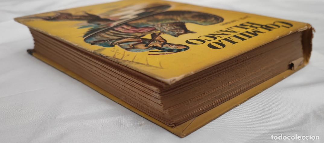Libros de segunda mano: COLMILLO BLANCO, JACK LONDON, ACME AGENCY 1951, LIBRO - Foto 3