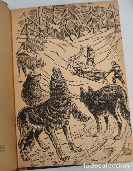 Libros de segunda mano: COLMILLO BLANCO, JACK LONDON, ACME AGENCY 1951, LIBRO - Foto 7