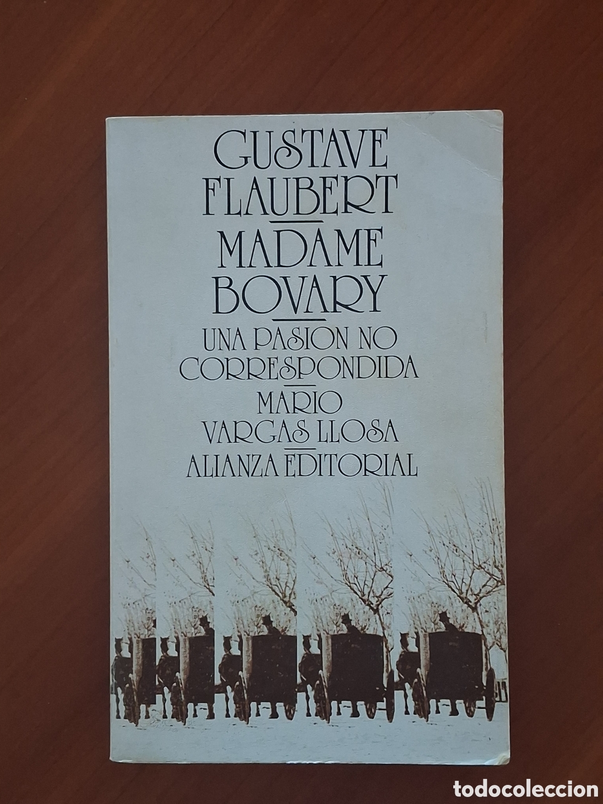Libros de segunda mano: Madame Bovary. Un cl&aacute;sico del siglo XIX