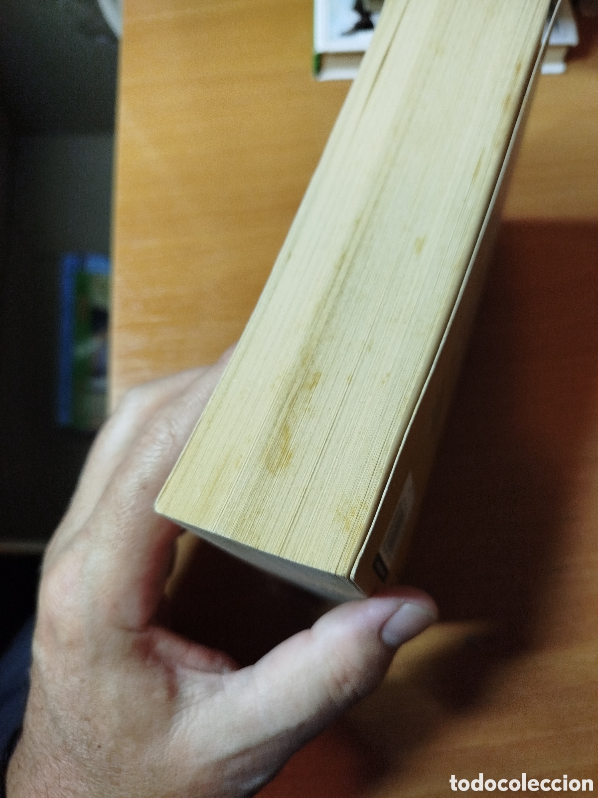 Libros de segunda mano: El &uacute;ltimo cat&oacute;n. Matilde Asensi. Best seller - Foto 4