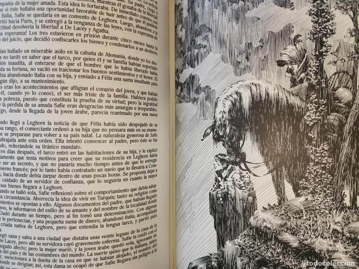 Libros de segunda mano: FRANKENSTEIN. MARY SHELLEY. ILUSTRADOR: BERNI WRIGHTSON. PR&Oacute;LOGO: STEPHEN KING - Foto 5