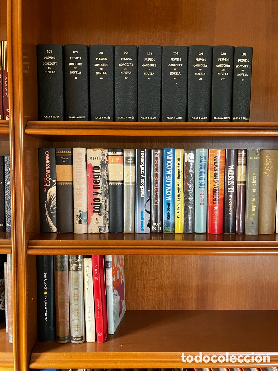 Libros de segunda mano: Premios Goncourt, Pulitzer, Nobel,de novela