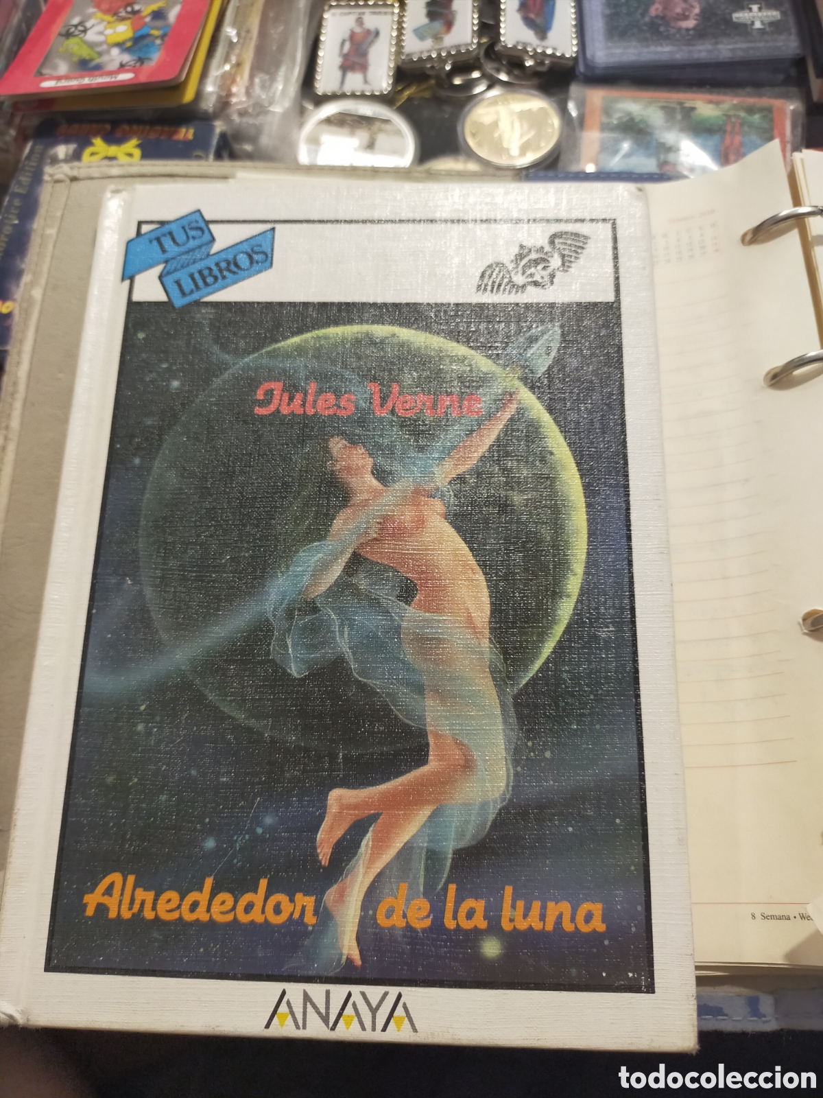 Libros de segunda mano: ALREDEDOR DE LA LUNA JULES VERNE ANAYA TAPA DURA