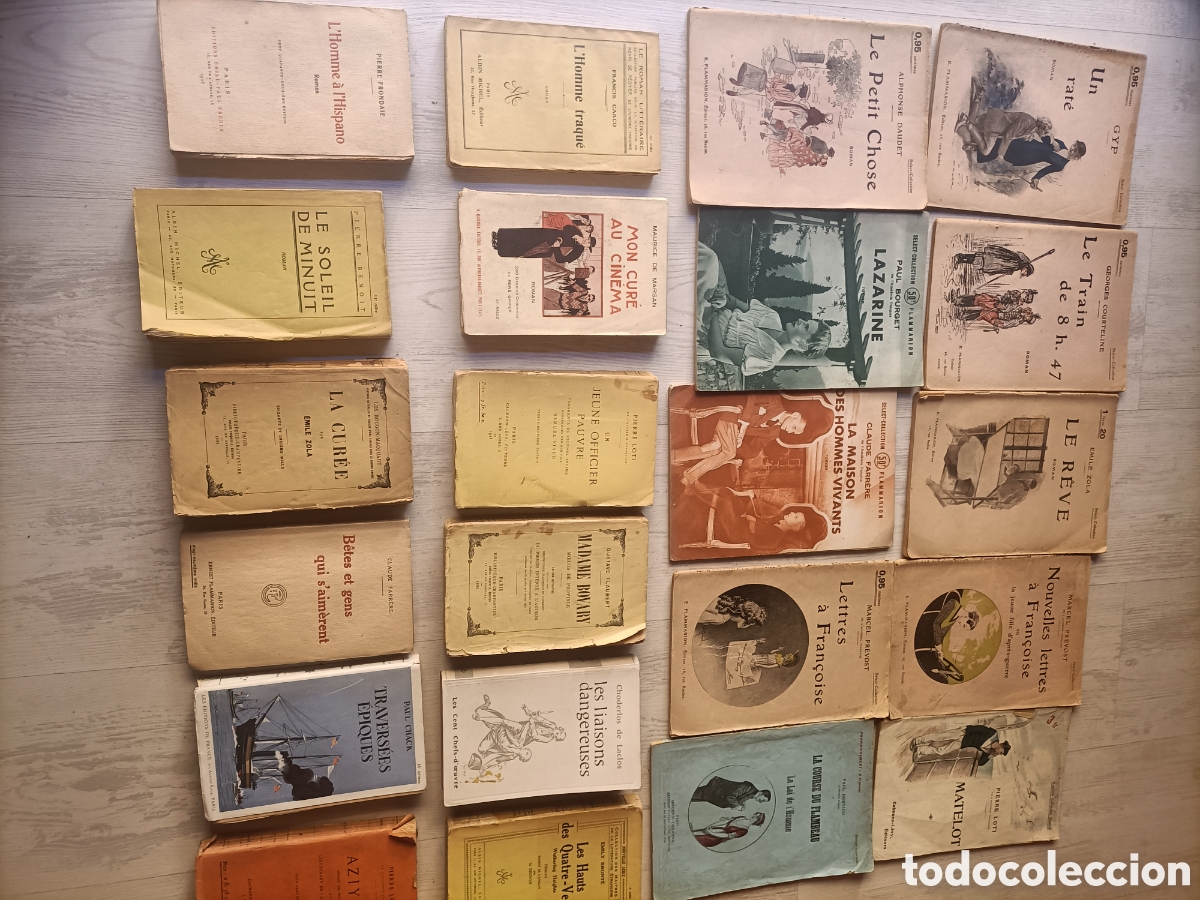 Libros de segunda mano: Lote 22 libros en franc&eacute;s.Emile Zola.Benoit. Pierre Frondaie. Claude Farrere. Maurice Marsan.etc..
