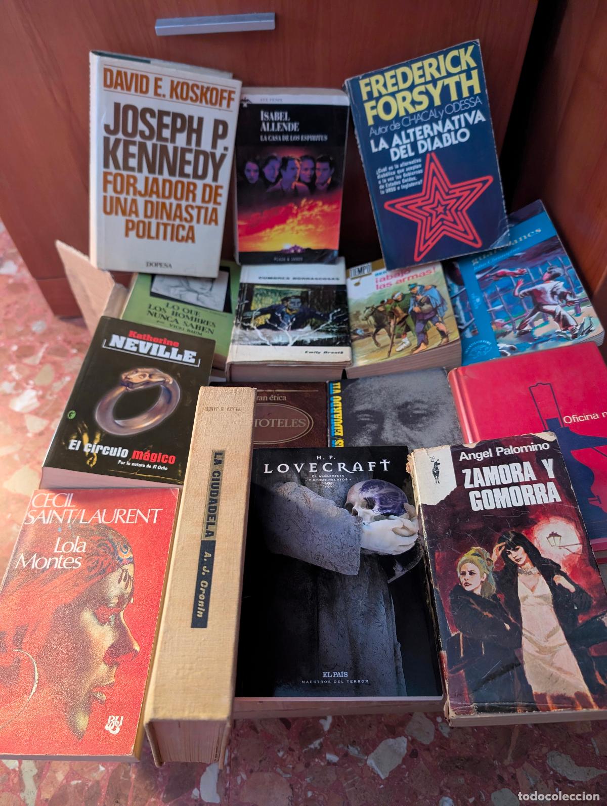 Libros de segunda mano: LOTE DE LIBROS VARIADOS - 15 EJEMPLARES -