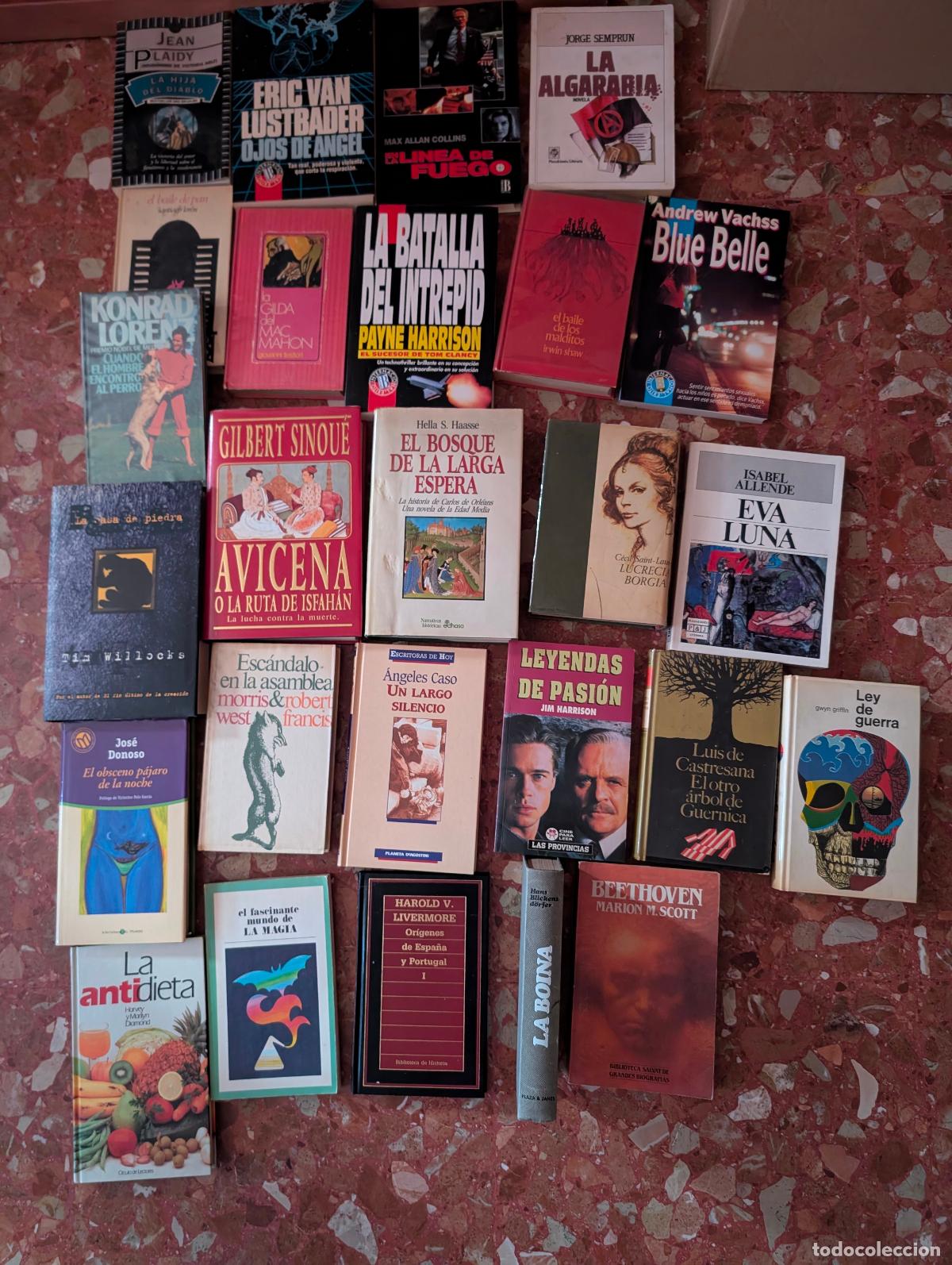 Libros de segunda mano: LOTE DE LIBROS VARIADOS - 26 EJEMPLARES -