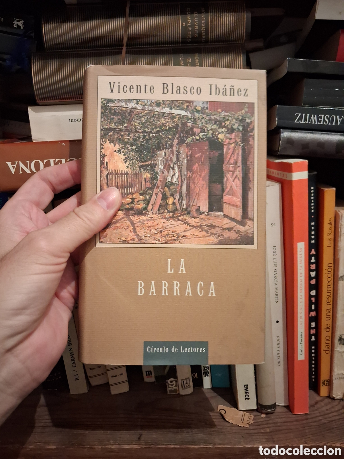 Libros de segunda mano: La Barraca, Vicente Blasco Ib&aacute;&ntilde;ez