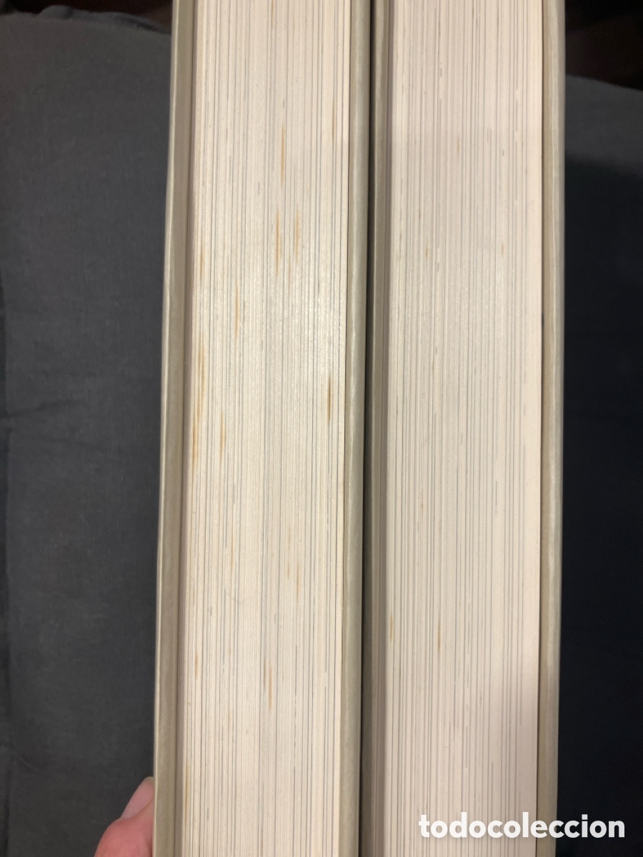 Libros de segunda mano: Don Quijote. Antonio Saura. 2 tomos - Foto 2