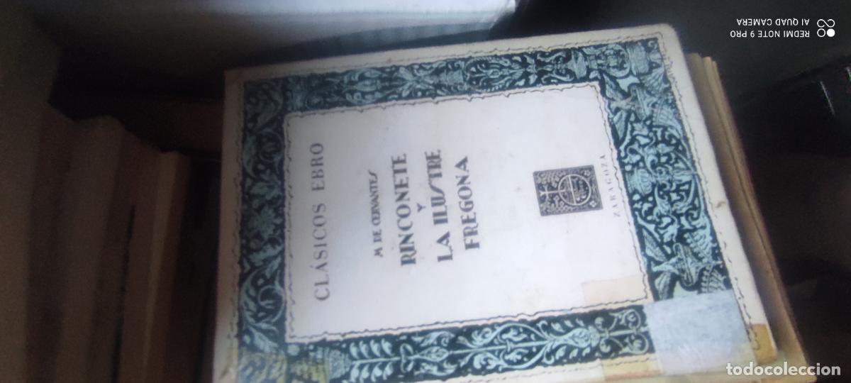 Libros de segunda mano: Cl&aacute;sicos Ebro Rinconete y Cortadillo/ La Ilustre Fregona