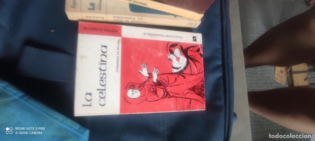 Libros de segunda mano: La celestina de Rojas