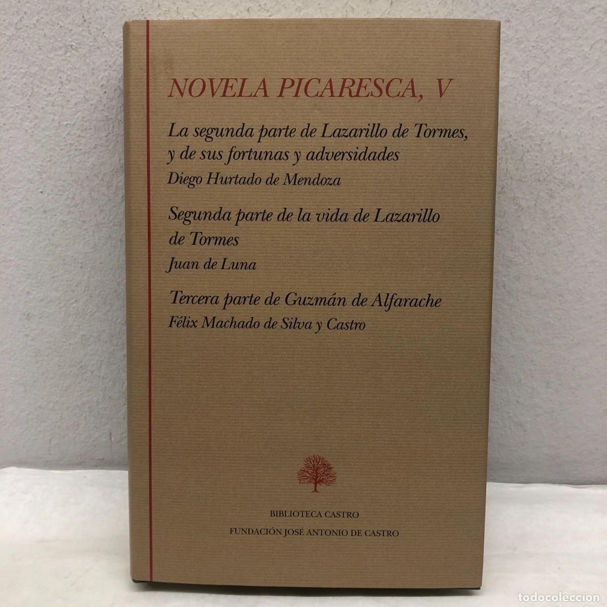Libros de segunda mano: NOVELA PICARESCA, V - LAZARILLO DE TORMES, GUZM&Aacute;N DE ALFARCHE - BIBLIOTECA CASTRO - 2010 / 1273