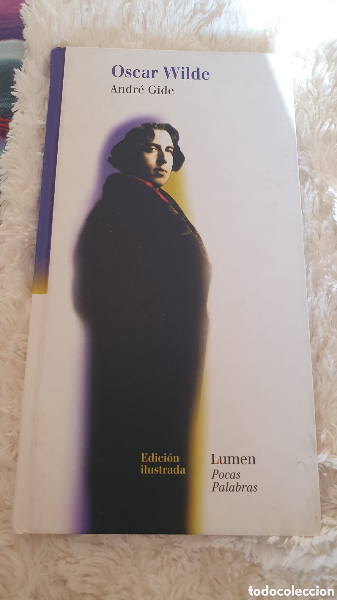 Libros de segunda mano: Libro Oscar Wilde - Andr&eacute; Gide 1999 (PRiMERA EDICI&Oacute;N)